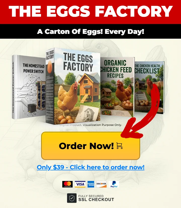 The Eggs Factory